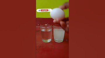 Salt water VS egg experiment video 👍|#shorts