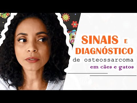 Vídeo: Sinais de Osteossarcoma (Câncer Ósseo) em Cães