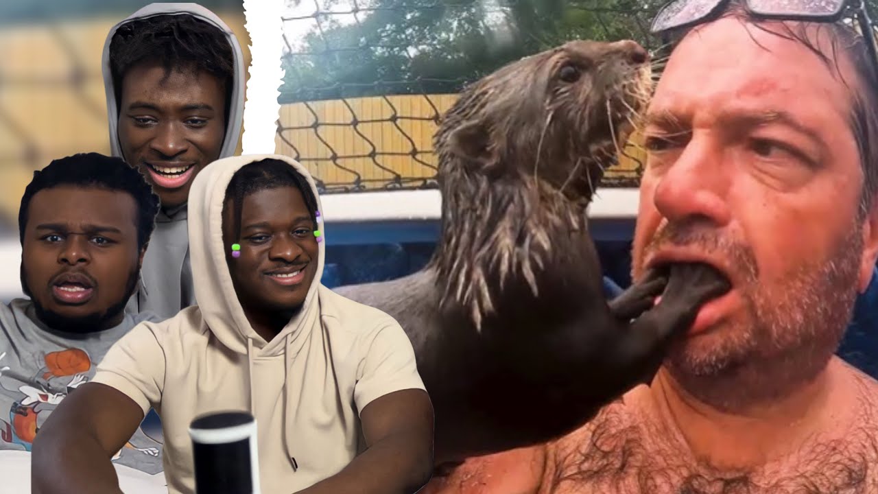 САМЫЕ СМЕШНЫЕ моменты с дикими животными, снятые на камеру. Реакция!