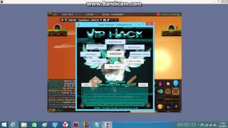 Transformice vip hack