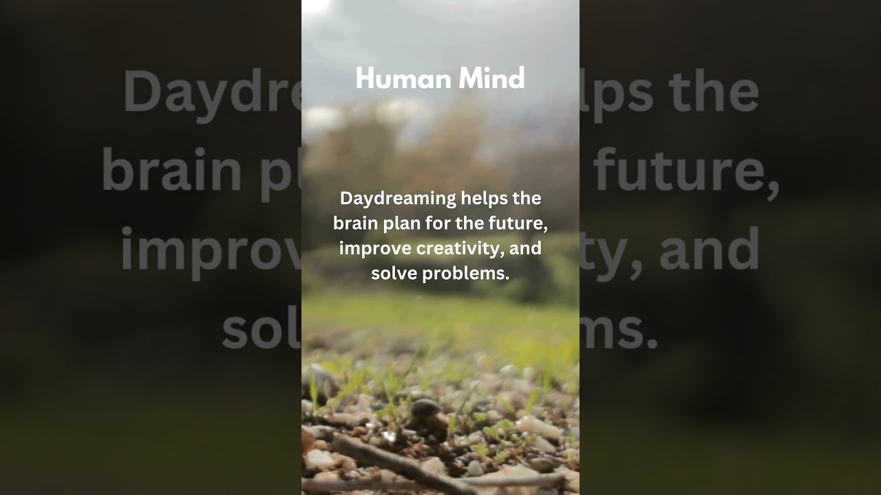 Why Do Humans Daydream? | The Power of the Human Mind  