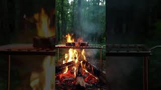 kamp keyfi 🌲🔥Beğendiysen like at ve takip#mrbeast #camping #shortvideo #keşfetbeniöneçıkar #keşfet