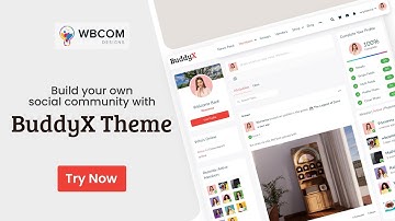Free BuddyX Theme Sidebar Options |  Best WordPress Social Network Theme