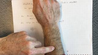 Famous Modelling real-life phenomena. Cubic models. Wealth