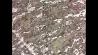 Epidote amphibolite (PPL)