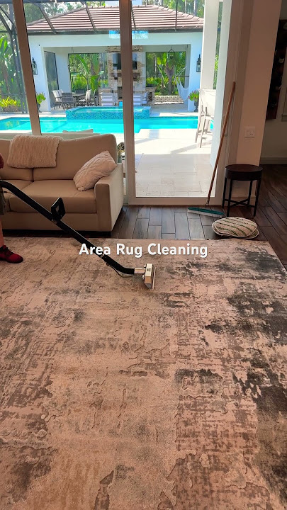 Deep extraction cleaning area rugs. #deepcleaning #arearugs #lithia #carpetcleaning #tampa