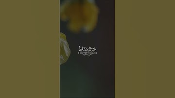 #ايات_قرانيه_قصيره #تلاوات #آيات #القرآن_الكريم #قرآن #تلاوة #قران_كريم #تلاوة_خاشعة  #القرآن #quran