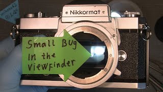 Remove a small Bug in the viewfinder In Nikkormat FTn