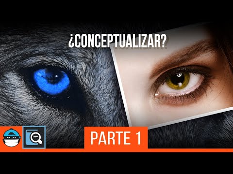 Video: ¿Por qué significa conceptualizar?