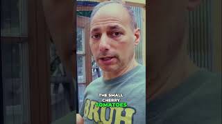 Maximize Garden Space: Smart Planting &amp; Wiring Tips #shorts