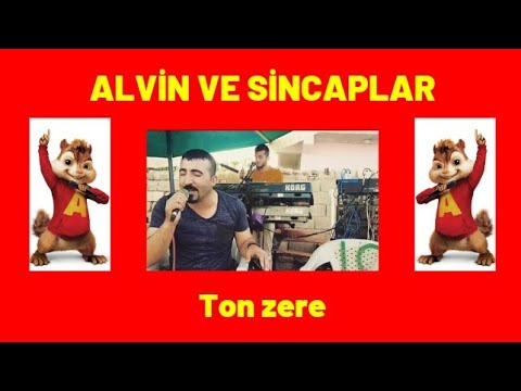 RODER ORDİ - TON ZERE | ALVİN VE SİNCAPLAR