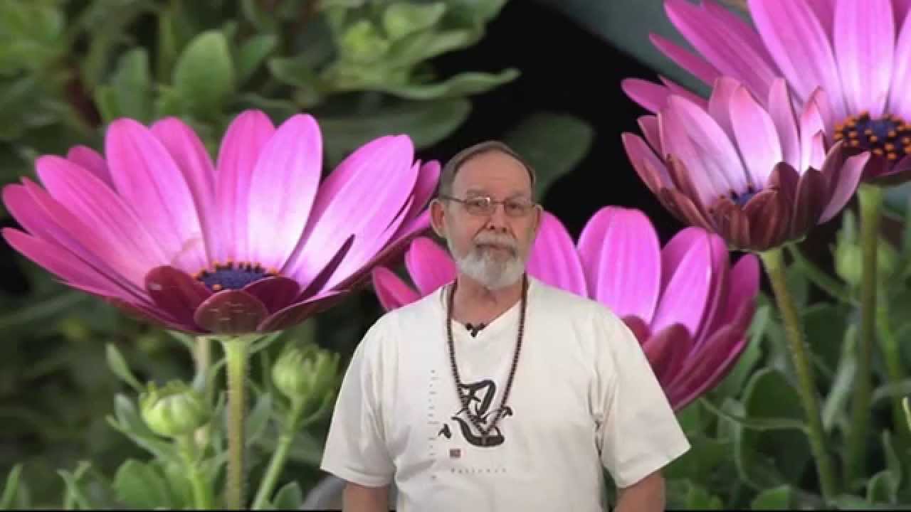 Capricorn June Astrology Horoscope 2014 - YouTube