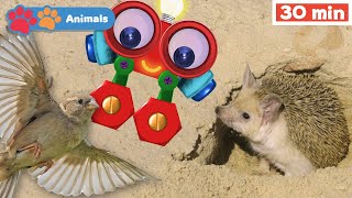 Toddlers Learn Animals with Robi | Educational Early Learning Videos | Animals Names & Sounds