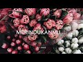 Merindukanmu dmasiv cover