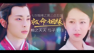 【Fan video】CC Eng sub/ Deng lun CROSSOVER Yang Zi --- MY LIFESAVER, MY DESTINY-TO-BE