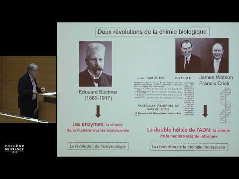 Vidéo: Comment Friedrich Wohler a-t-il contesté la théorie du vitalisme ?