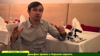 Дельфин в клубе Jazzter. RobinzonTV