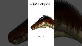 A Jurassic Spinosaur?