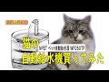 猫に水飲み器　NPET ペット自動給水器 WF050TP  蛇口式 1.5Ｌ 猫/中小犬用を買ってみた　【にゃんチューバ―かぎしっぽのこち】