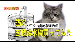 猫に水飲み器　NPET ペット自動給水器 WF050TP  蛇口式 1.5Ｌ 猫/中小犬用を買ってみた　【にゃんチューバ―かぎしっぽのこち】