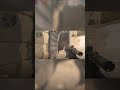 A Valorant player tries CS2 Ranked
