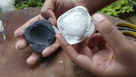 How to make a fossil with Plaster of Paris