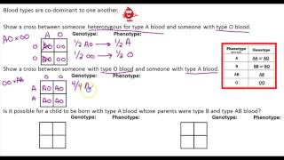 Target B1.2: Co-Dominance & Blood Type Practice Problems