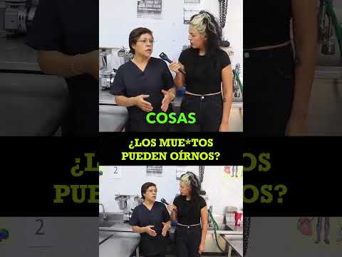 UN DÍA en una FUNERARIA