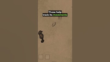 Rimworld Revenants Explained: Tips & Tactics