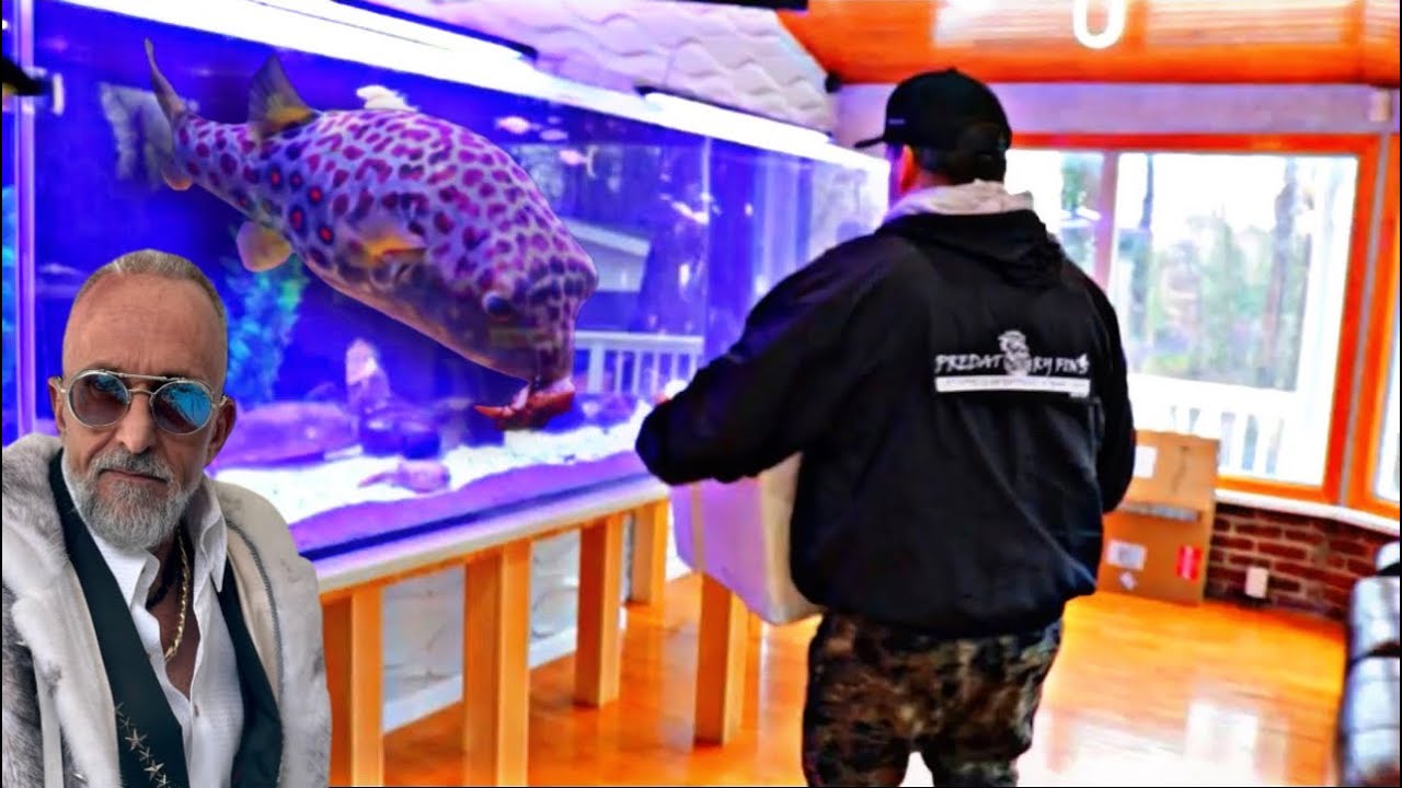 KILLER CROSS RIVER PUFFERFISH (BIGGEST I'VE SEEN) FISH DELIVERY IN LAMBORGHINI!!!!