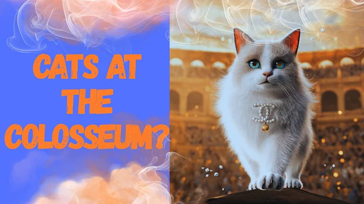 Video 9835461: cat feline, cats catlover, international cat show, feline beauty