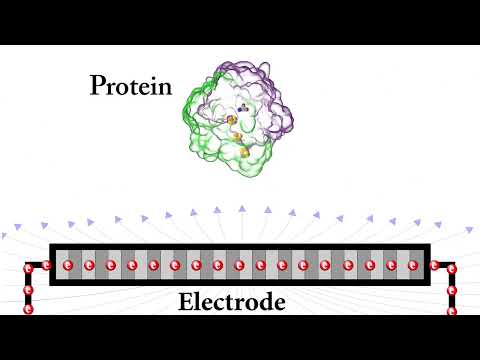 Electrostatic interaction between