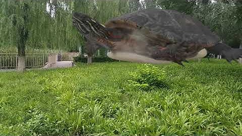 The giant turtle can actually fly #animal #3danimation #specialeffects #vfx #3dmodeling