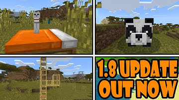Minecraft Bedrock 1.8 Update | Cats, Scaffolding, and Pandas!