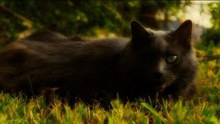 Diy Slider Test Shots With Canon T3I