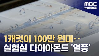 1캐럿이 100만원대‥실험실 다이아몬드 '열풍' (2023.09.30/뉴스데스크/MBC)