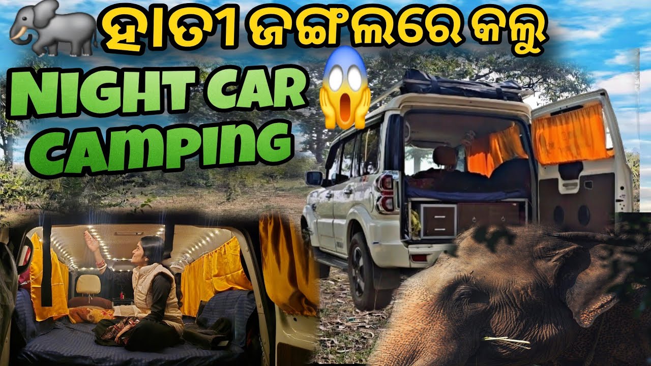 🐘ହାତୀ ଜଙ୍ଗଲରେ କଲୁ Night car 🚗Camping😱😱#car camping#campingvlog