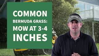 What height should I mow bermuda grass?