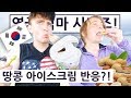 우도에 가서 땅콩 아이스크림을 만난 영국엄마!?! 영국 엄마의 한국 즐기기 Day+9.1!! British Mum Series 2 Day 9.1!!