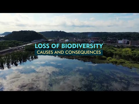 Loss of Biodiversity: Causes and Consequences