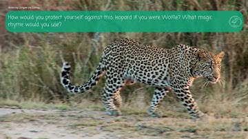 Ch 7 Follow Me - Moonlight on the Magic Flute-Wonders in Education