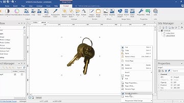 Site Manager - WYSIWYG Web Builder