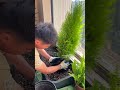 127. Great view of garden to create gorgeous balcony garden #balcony renovation #green plants
