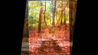 Ветер Унеси Меня