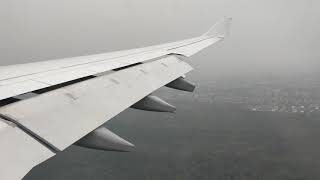 ✈ Rainy Morning Landing into Frankfurt with Lufthansa A330-300