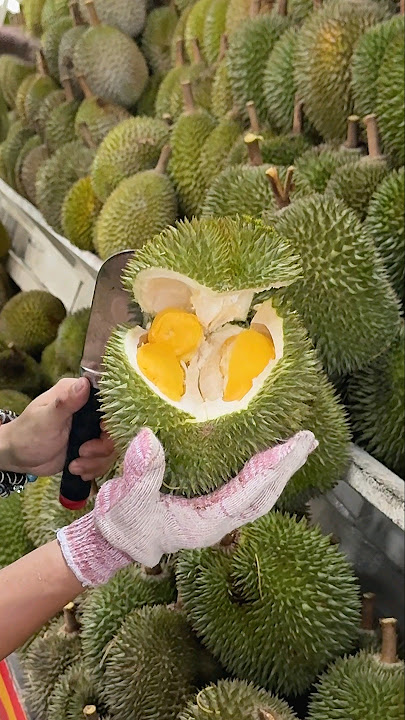 The Most Popular Durian Store in Malacca, Malaysia - Fruit Cutting Skills