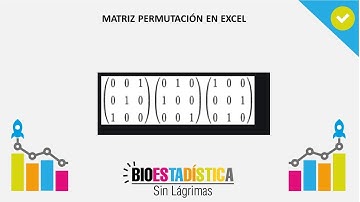 MATRIZ PERMUTACIÓN EN EXCEL| BioEstadística Sin Lágrimas