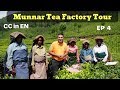 Munnar Tea Factory visit EP 4 | A to Z of Tea Orthodox Method