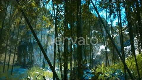 Asian Bamboo Forest with Sunlight | Motion Graphics - Envato elements