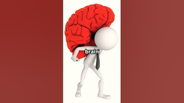 “Getting Things Done in 5 Steps  Master Productivity Like a Pro”